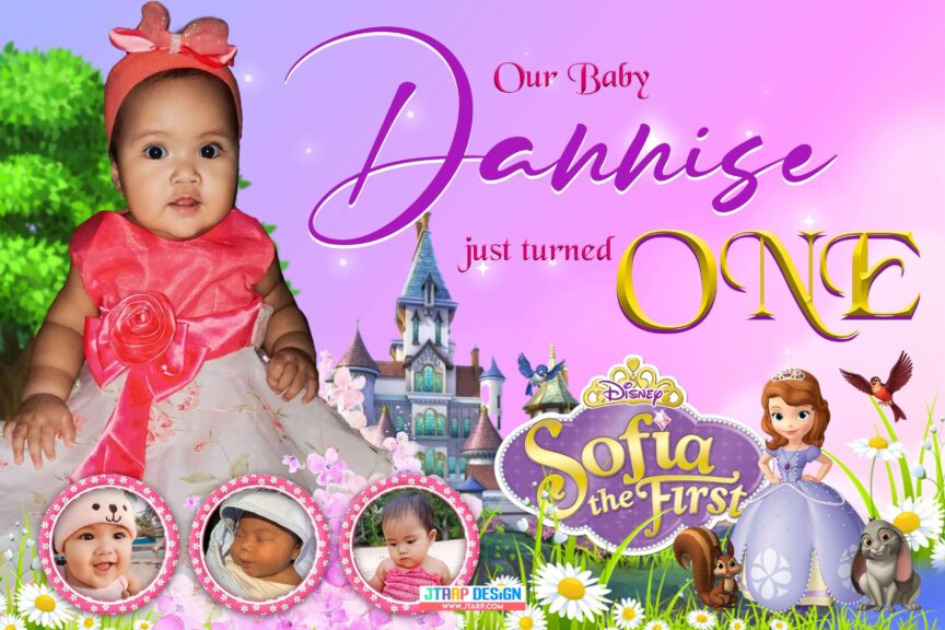 Baby Dannise’s 1st Birthday Sofia the first Theme